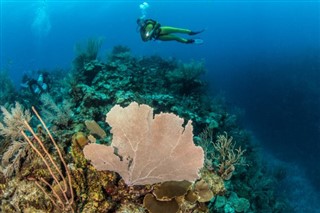 Belize időjárás-jelentés