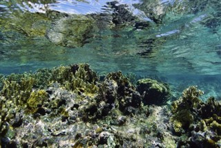 Belize hava tahmini
