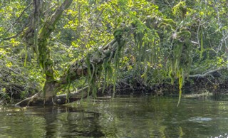 Belice pronóstico del tiempo