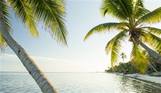 Belize hava tahmini