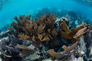 Belize vejrudsigt