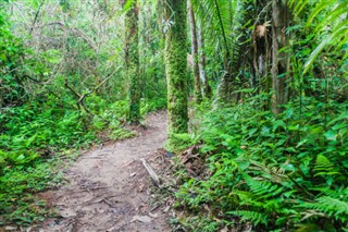 Belize hava tahmini