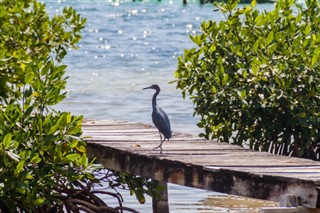 Belize Időjárás-jelentés