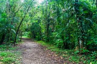 Belize vejrudsigt