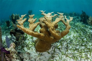Belize hava tahmini