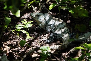 Belize prévisions météorologiques