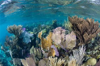 Belize vejrudsigt