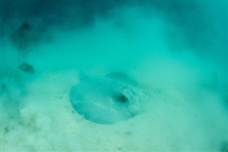 Belize vejrudsigt