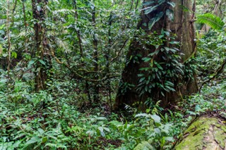 Belize hava tahmini