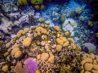 Belize vejrudsigt