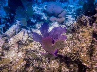 Belize hava tahmini
