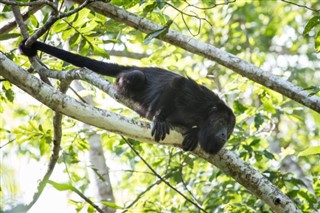 Belize hava tahmini
