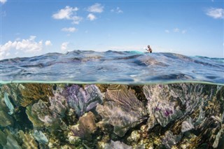 Belize vremenska prognoza