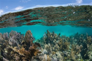 Belize időjárás-jelentés