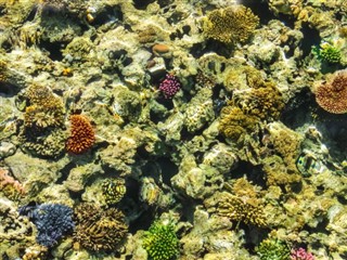 Belize vejrudsigt