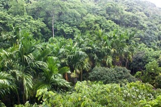 Belize hava tahmini