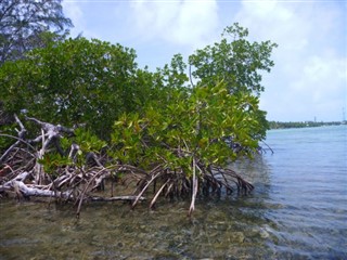 Belize vejrudsigt