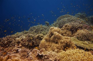 Belize previsão do tempo