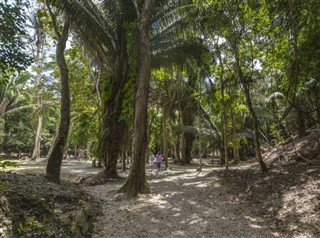 Belize hava tahmini