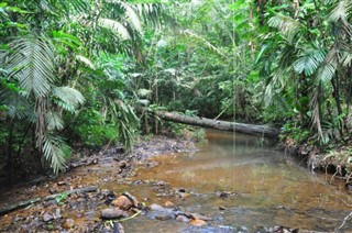 Belize vejrudsigt