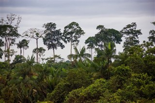 Belize weather forecast