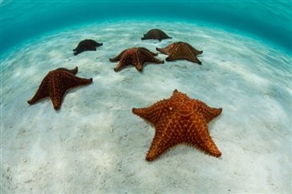 Belize hava tahmini