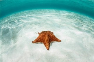 Belize vejrudsigt