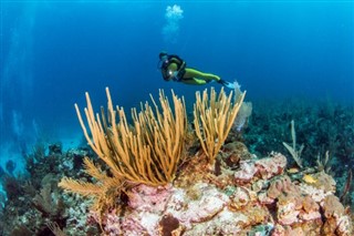 Belize hava tahmini