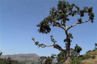 benin Hava tahmini