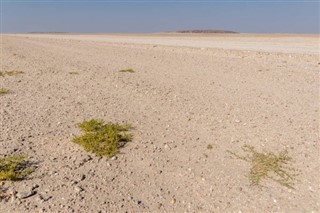 Benin pronóstico del tiempo