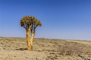 بنين توقعات الطقس