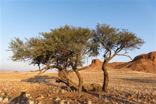 benin hava tahmini
