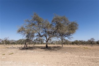 Benin vejrudsigt