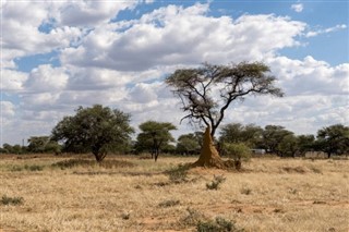 Benin vejrudsigt