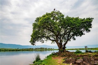 benin hava tahmini