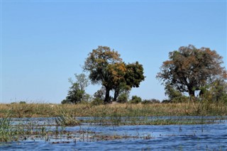 Bénin prévisions météorologiques