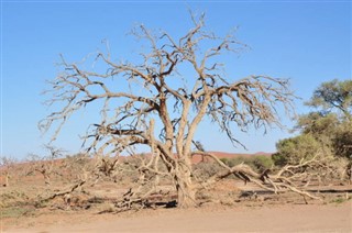 benin hava tahmini