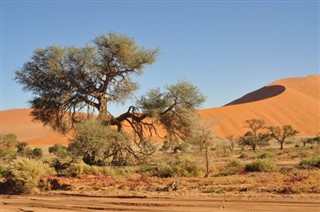 benin hava tahmini