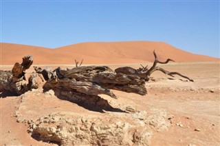 Benin vejrudsigt