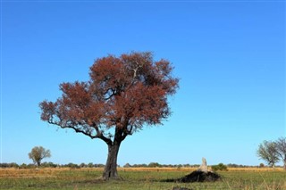 benin hava tahmini