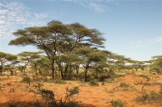 benin Hava tahmini