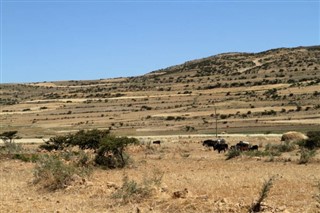 benin hava tahmini
