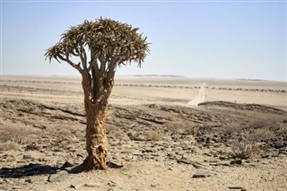 Benin vejrudsigt