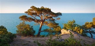 Bermuda vejrudsigt