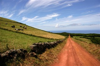Bermuda Hava tahmini