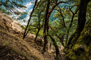 Bhutan vejrudsigt