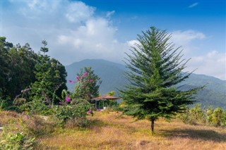 Butan hava tahmini