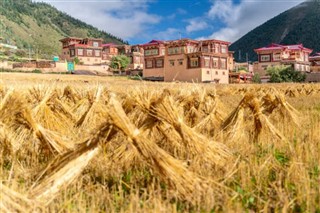 Butan hava tahmini
