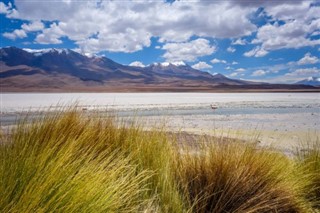 Bolivia weather forecast