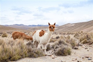 Bolivia weersvoorspelling